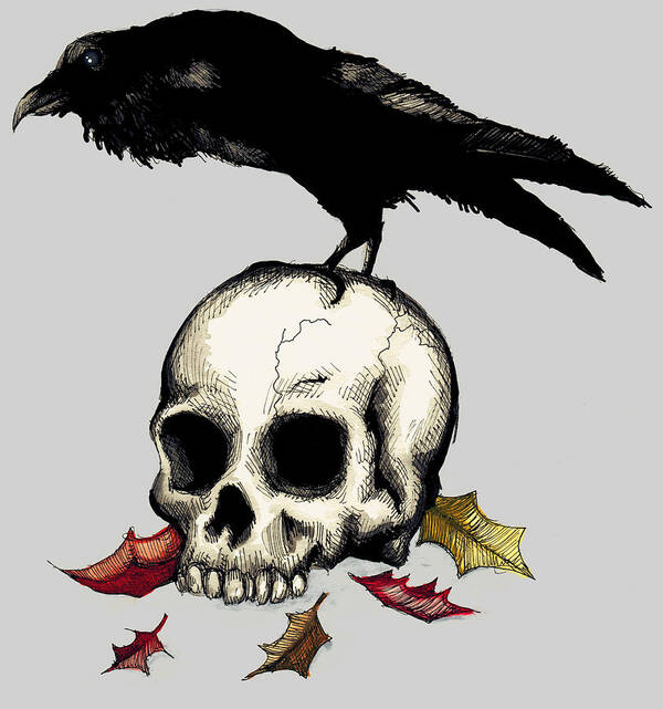 Raven Art Print featuring the drawing Crow Skull by Ludwig Van Bacon
