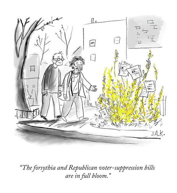 The Forsythia And Republican Voter-suppression Bills Are In Full Bloom. Art Print featuring the drawing In Full Bloom by Jason Adam Katzenstein
