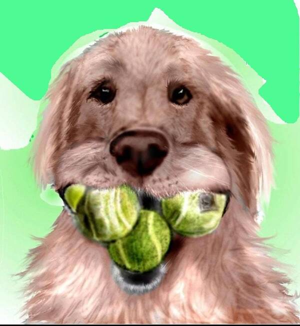 Golden Retriever Tennis Balls Fetching Fetch Funny Caricature Pencil Sketch Mixed Media Art Print featuring the mixed media Nuts for Tennis by Pamela Calhoun
