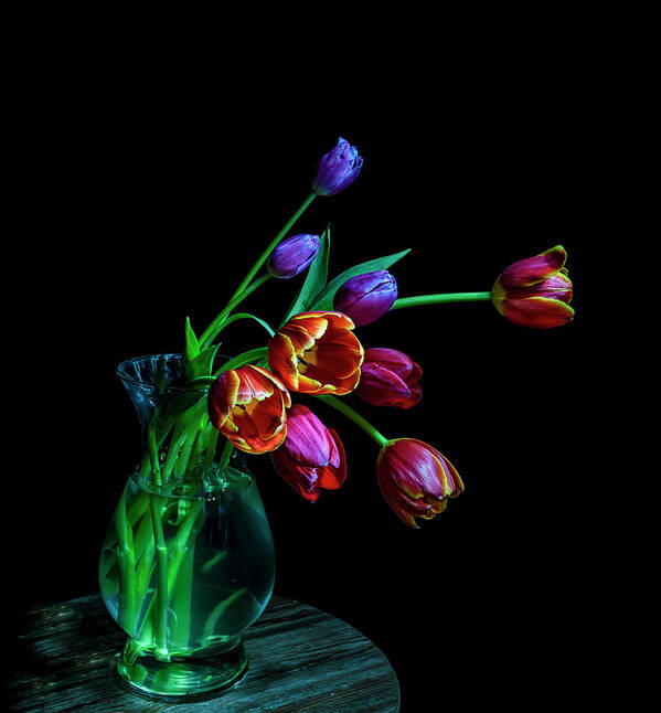 Tulips Art Print featuring the photograph Off Balance by Judi Kubes