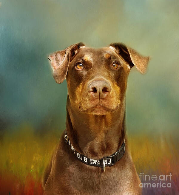 Red Doberman Art Print featuring the mixed media Red Doberman by Kathy Kelly