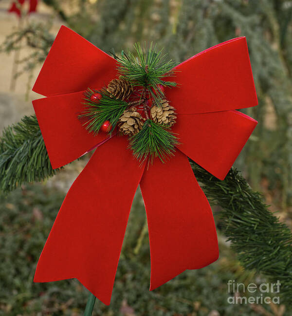 Red Velved Holiday Bow With Pinecones And Holiberries Art Print featuring the photograph Red Velved Bow by Iris Richardson