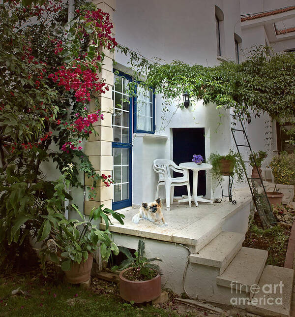 Yard Garden Summer Holiday Home House Dog Beautiful Fantastic Stare Look Flowers Architecture B&b Relaxing Relaxation Life Style Dream Greece White Green Red Beauty Pretty Enjoy Enjoyment Greek Evening Peace Peaceful Rest Resting Atmospheric Evocative Descriptive Story Telling Wonderland Wonderful Inviting Sounded Poetic Stylish Sweet Villa Art Print featuring the photograph Warm Peace And Relaxation by Tatiana Bogracheva