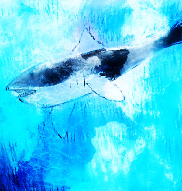 Whale Art Print featuring the drawing Whale Art by Anna Adams