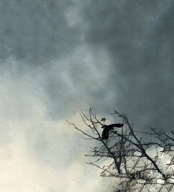 Crow Art Print featuring the digital art Where the Crow Fkies by Diana Rajala