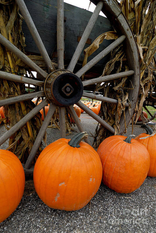 Autumn Art Print featuring the photograph Pumpkins with Old Wagon by Amy Cicconi