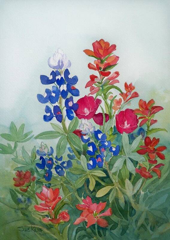 Bluebonnets Art Print featuring the painting Texas Wildflowers by Sue Kemp