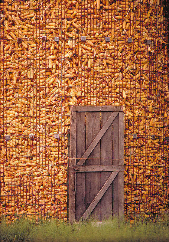 Corn Art Print featuring the photograph The Corn Crib by Garry McMichael