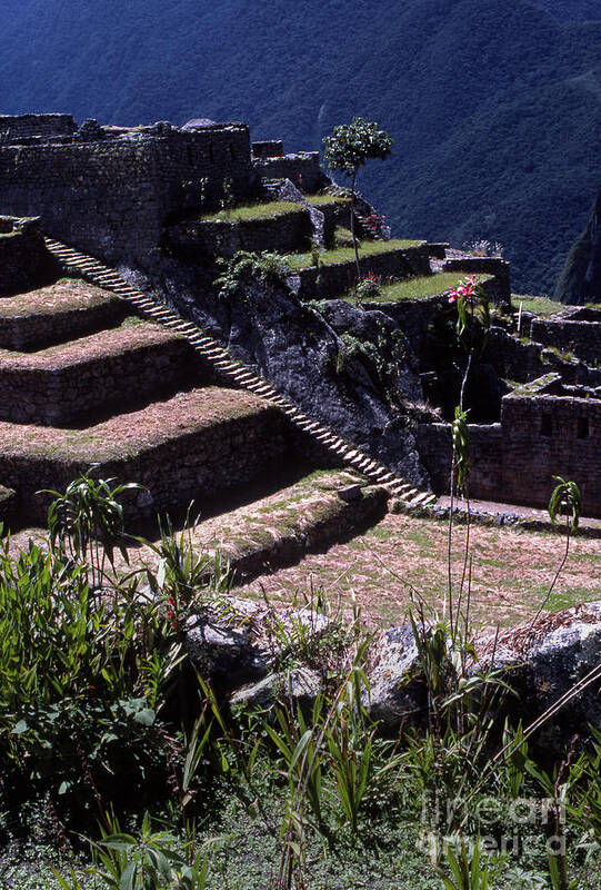 Inca Art Print featuring the photograph Machu Picchu-Signed-#389 by J L Woody Wooden