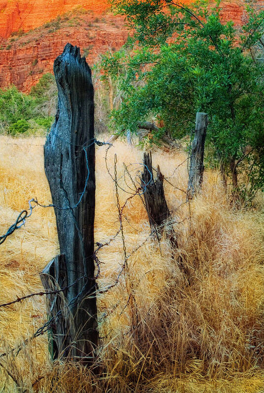 Fence Art Print featuring the photograph Sedona Fence and Field by Bob Coates