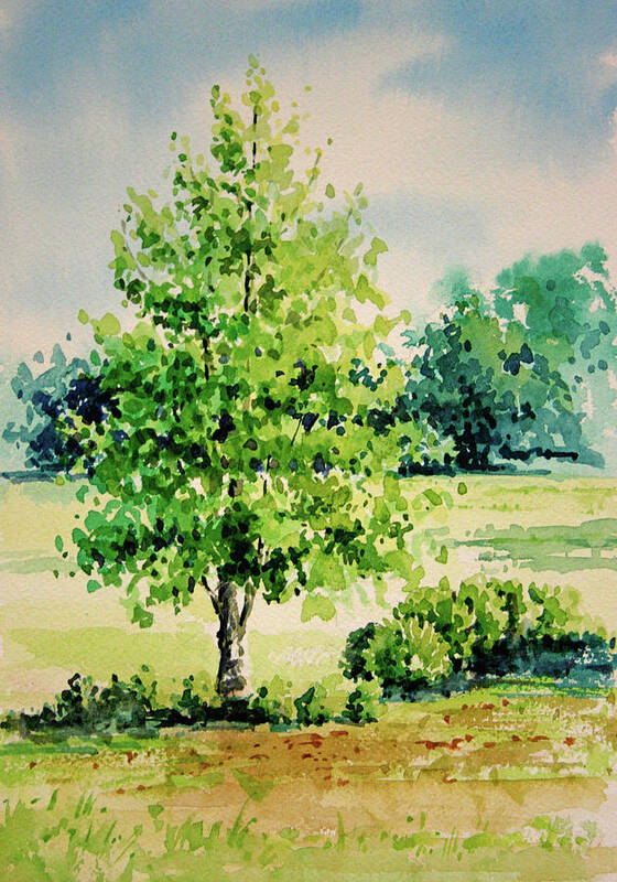 Landscape Art Print featuring the painting Shalom Park Watercolor by Linda Eades Blackburn