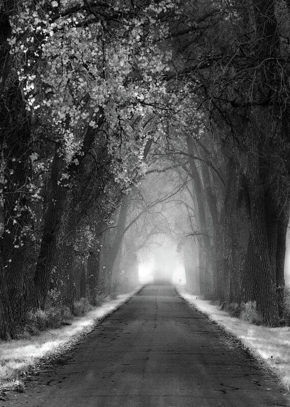 Evansville Wi Wisconsin Tree Tunnel B&w Black And White Haunted Road Spooky Halloween Ghost Hunting Deer Hunting Art Print featuring the photograph Weary Road Tree Tunnel #2 - Black and White by Peter Herman