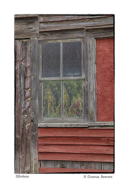  Art Print featuring the photograph Window by R Thomas Berner