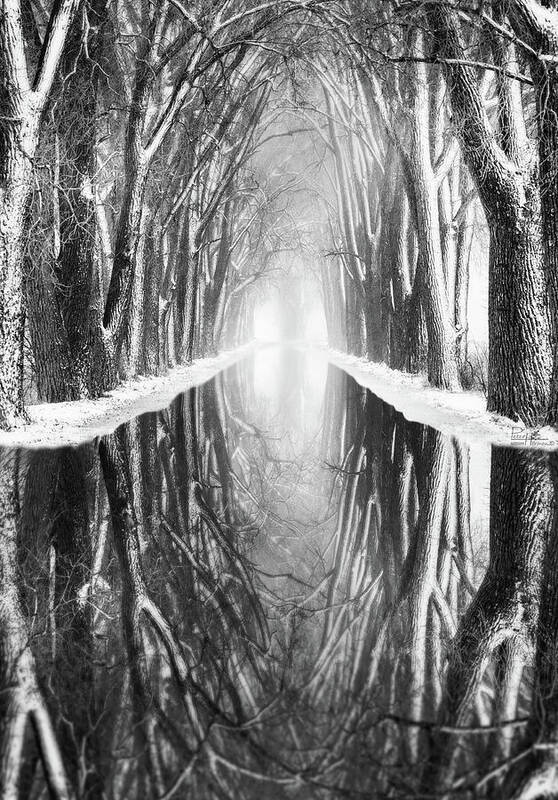 Haunted Tree Tunnel Black And White B&w Weary Road Winter Cold Vanishing Point Perspective Underworld Mirrored Abstract Parallel Universe Vesica Piscis Mystical Magical Dark Forest Gnomes Trolls Scary Tunnel Canal Reflected Wi Wisconsin Evansville Snow Bark “as Above So Below” Art Print featuring the photograph What Lies Beneath and Beyond #1 - Tree Tunnel at Haunted Weary Road by Peter Herman