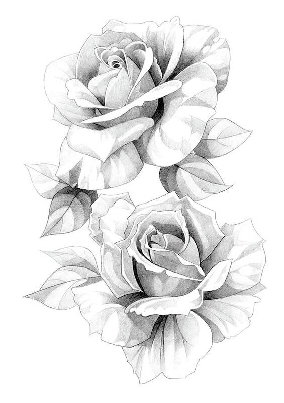 Sketch Rose Flower Pencil Sketch Flowers Stock Vector, 59% OFF-saigonsouth.com.vn