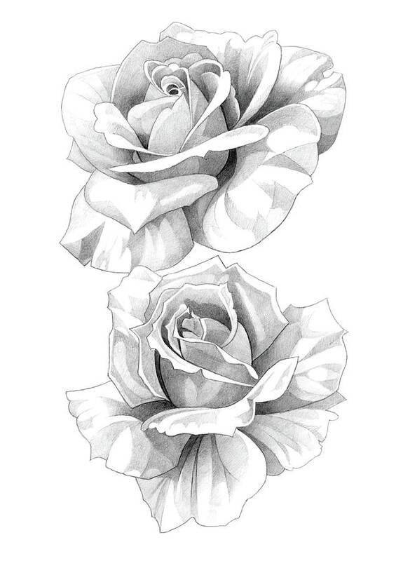 How to draw a Rose with pencil sketch... - YouTube-saigonsouth.com.vn