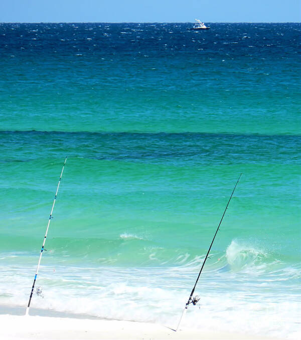 Fish Art Print featuring the photograph Fishing In Destin #1 by Sharon Woerner
