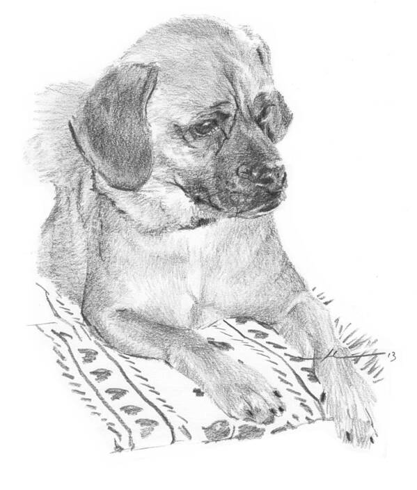<a Href=http://miketheuer.com Target =_blank>www.miketheuer.com</a> Puppy On A Blanket Pencil Portrait Art Print featuring the drawing Puppy On A Blanket Pencil Portrait by Mike Theuer