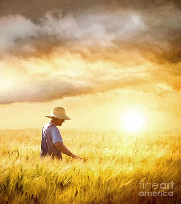  Farmer Art Print featuring the photograph Farmer checking his crop of wheat/ digital painting by Sandra Cunningham