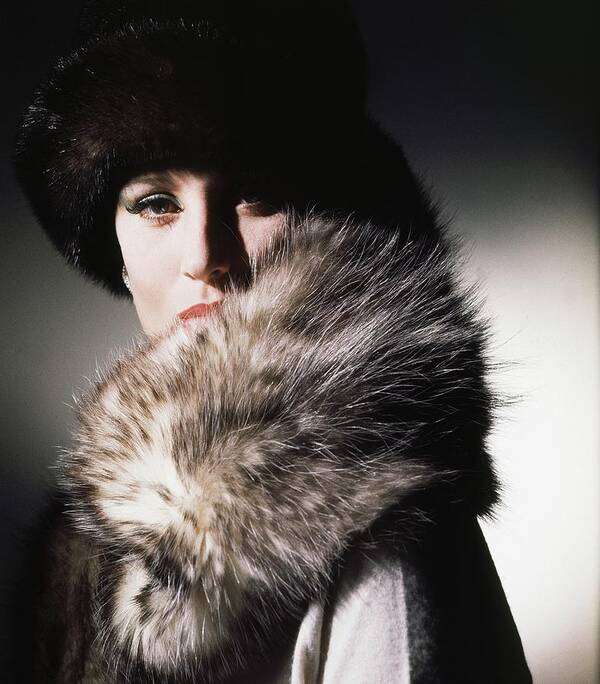 Studio Shot Art Print featuring the photograph Model Wearing Fur Collar And Hat #2 by Horst P. Horst