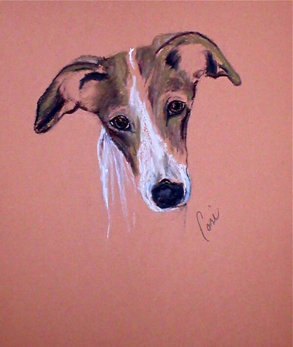 Whippet Art Print featuring the drawing All Ears by Cori Solomon