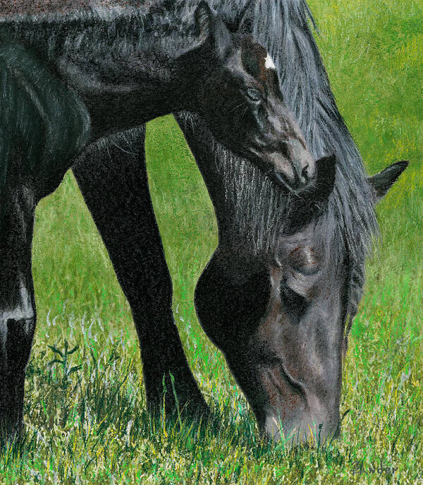 Horse Art Print featuring the pastel Bella and Sarah-Bella by Brent Ander