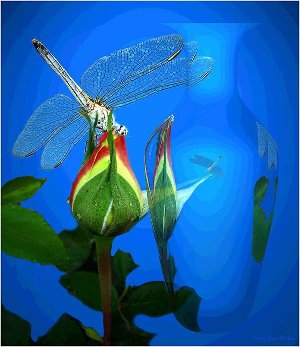 Dragonfly Art Print featuring the digital art Dragonfly And Bud On Blue by Joyce Dickens