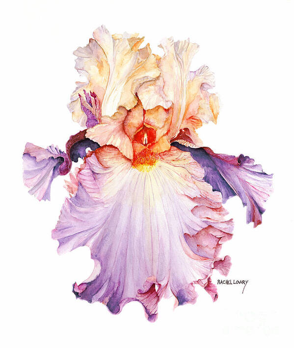 Iris Art Print featuring the painting Floating Iris 2 by Rachel Lowry