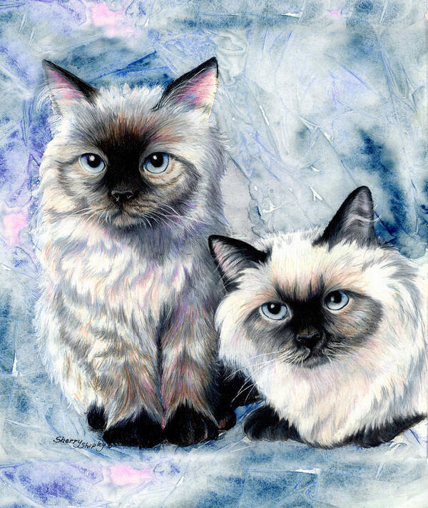 Cat Art Print featuring the painting Himalayan Duo by Sherry Shipley