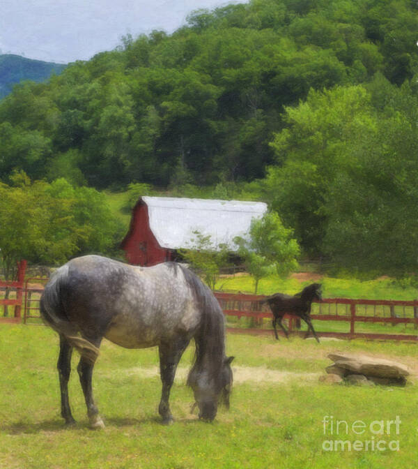 Paso Fino Horse Art Print featuring the digital art Horse Farm Oil Painting by Jill Lang