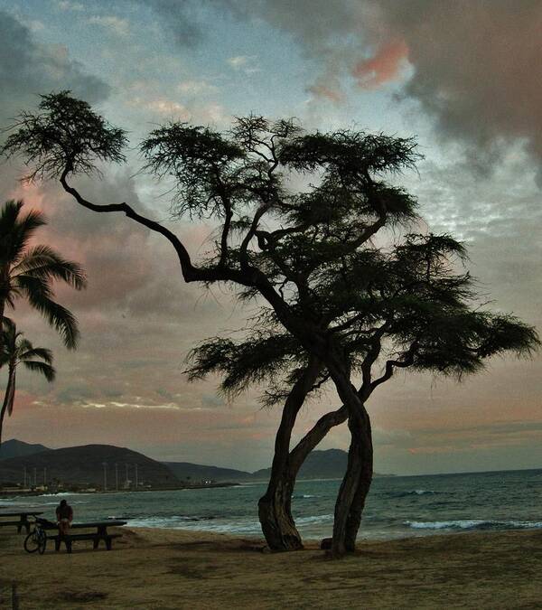 Knurled Tree Art Print featuring the photograph Knurled Tree and Resting Rider by Craig Wood