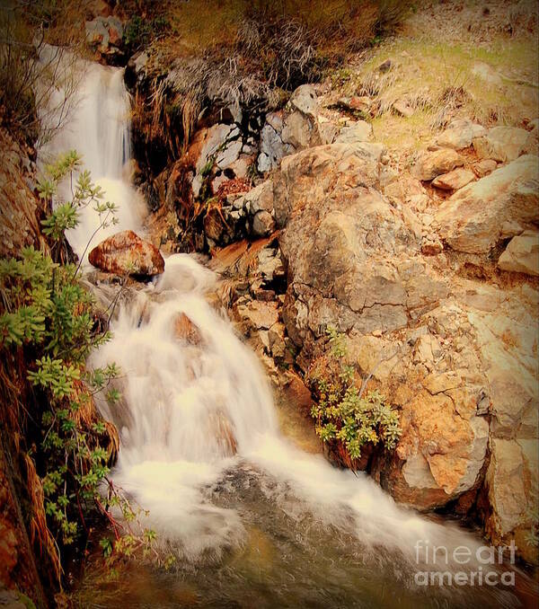 Waterfall Art Print featuring the photograph Lake Shasta waterfall 2 by Garnett Jaeger