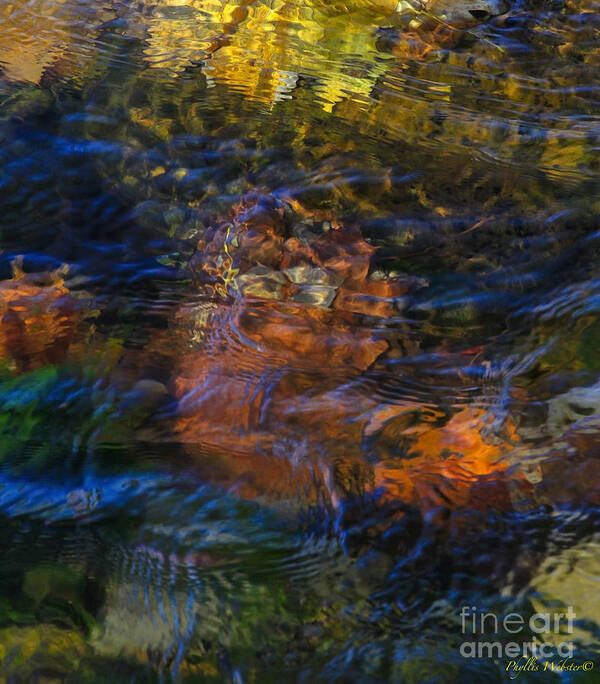 Monet Art Print featuring the photograph Monet's Leaves by Phyllis Webster