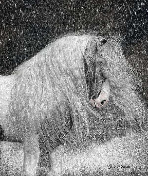 Gypsy Horses Art Print featuring the digital art Nor easter by Fran J Scott