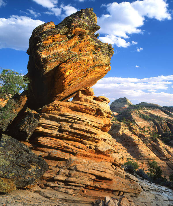 Zion National Park Art Print featuring the photograph On a Pedestal by Ray Mathis