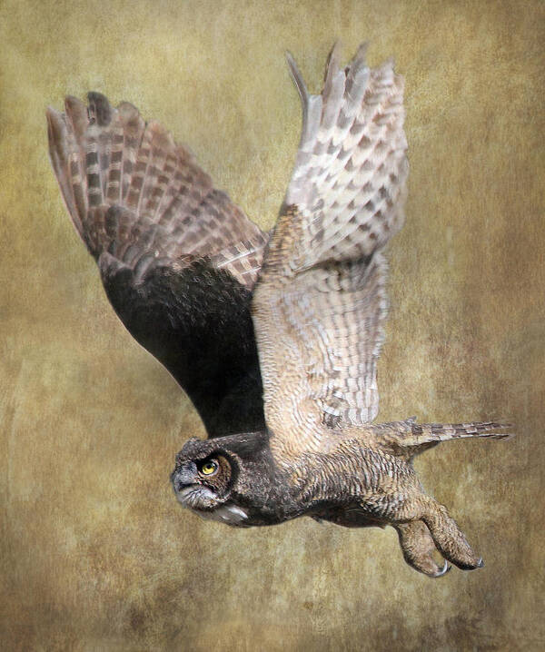 Owl Art Print featuring the photograph Owl in Flight by Angie Vogel