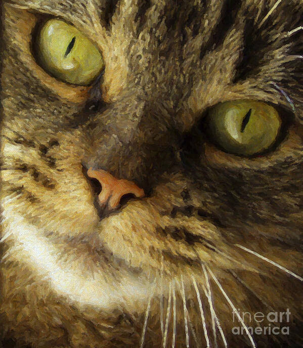 Cat Art Print featuring the photograph Pretty Cat Face by Diane Diederich