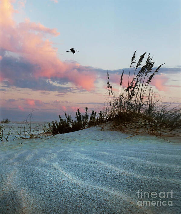 Beach Art Print featuring the photograph Sand and Sunset by Deborah Smith