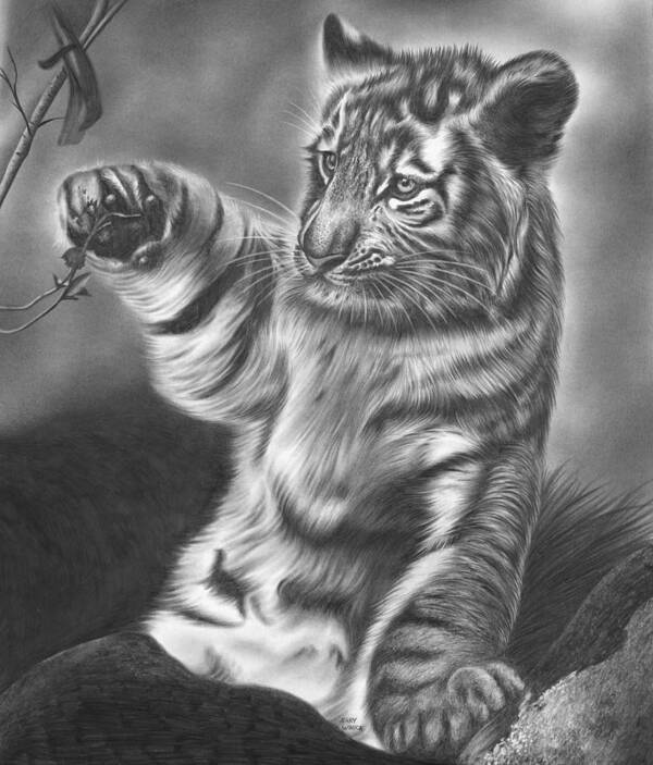 Tiger Art Print featuring the drawing Tiger Cub by Jerry Winick