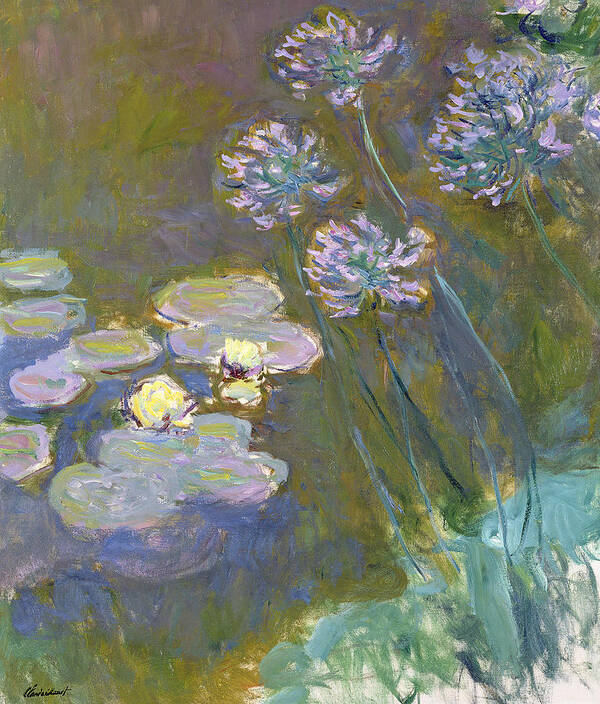 Reproductions Art Print featuring the painting Waterlilies and Agapanthus by Claude Monet