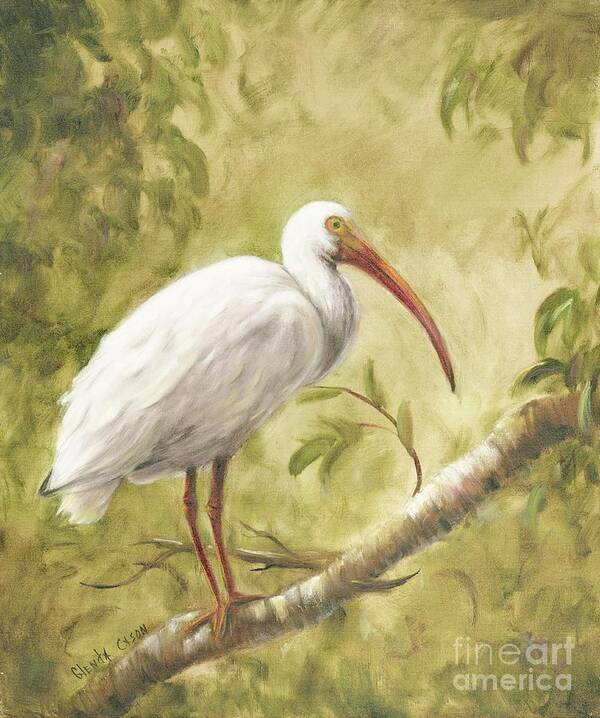 Birds Art Print featuring the painting White Ibis by Glenda Cason