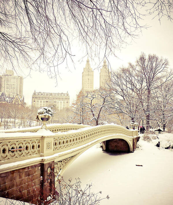 Nyc Art Print featuring the photograph Winter - New York City - Central Park by Vivienne Gucwa