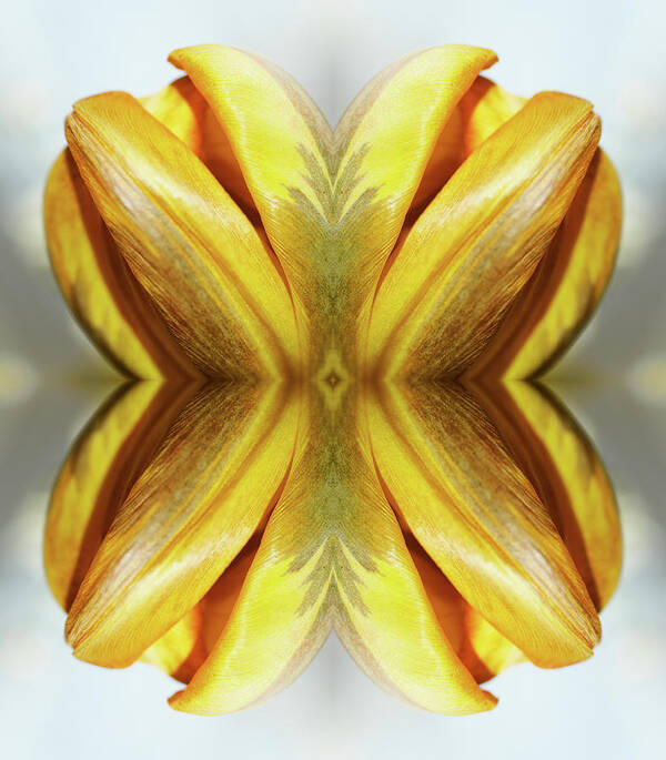 Tranquility Art Print featuring the photograph Yellow Tulip by Silvia Otte