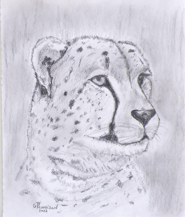 Drawing Art Print featuring the drawing Cheeta Watching by Gilbert Pennison
