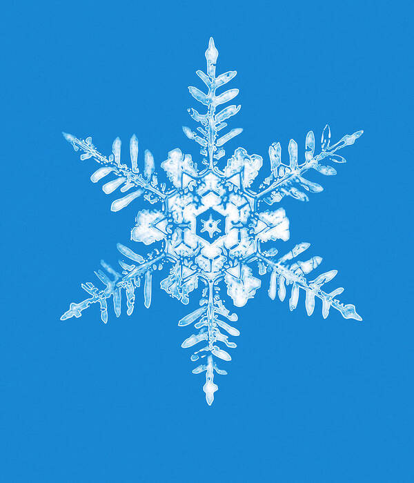 Snowflake Art Print featuring the photograph Snowflake #3 by Mehau Kulyk