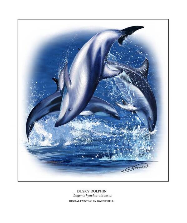 Dusky Art Print featuring the digital art Dusky Dolphin by Owen Bell