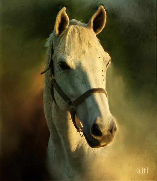 Horse Art Print featuring the painting Horse Head Portriat by George Lai