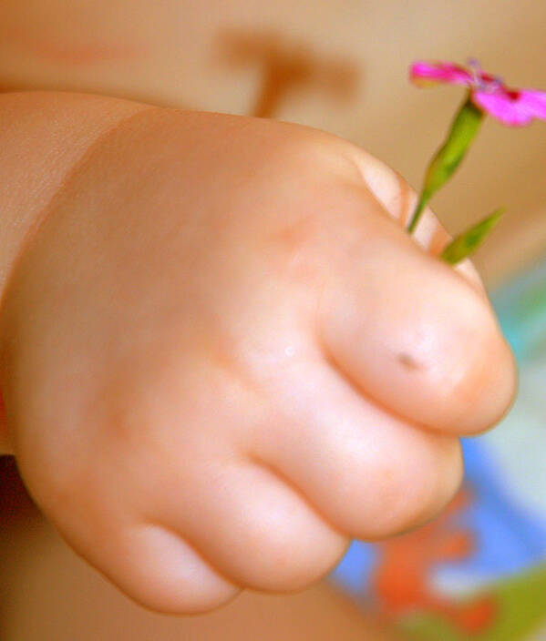 Infant Hand Flower Baby Art Print featuring the photograph Jaidens Gift by Bruce Carpenter