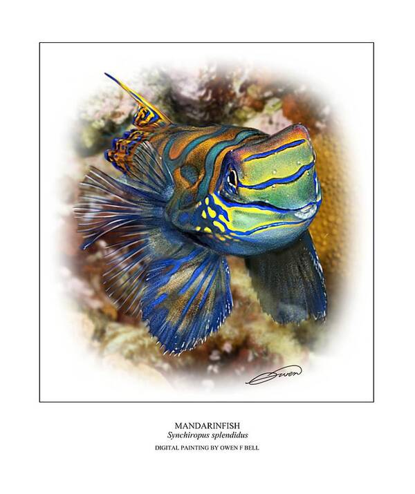 Mandarinfish Art Print featuring the digital art Mandarinfish 1 by Owen Bell