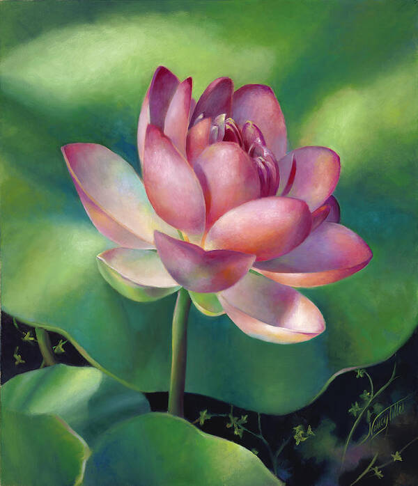 Water Lilies Art Print featuring the painting Pink Lotus Water Lily by Nancy Tilles